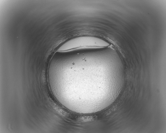 X0000064750353200602241845