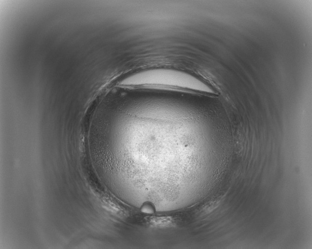 X0000064750355200602241845