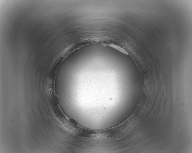 X0000064750356200602241845