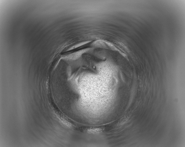 X0000064750357200602241845