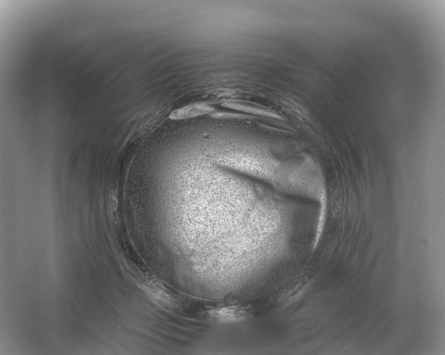 X0000064750365200602241845