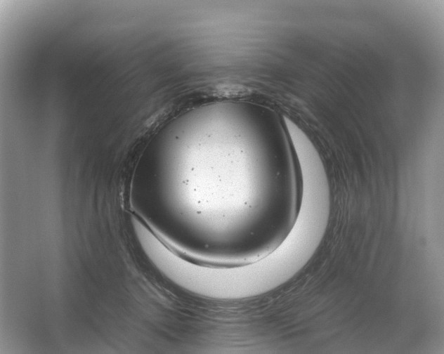 X0000064750368200602241845