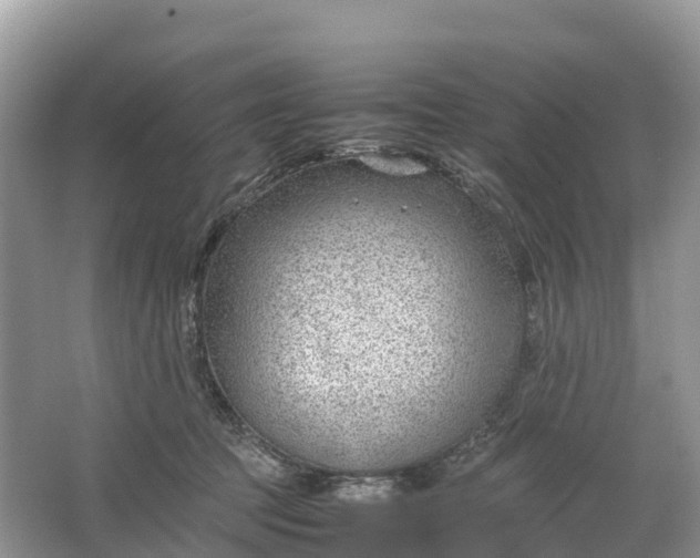 X0000064750369200602241845