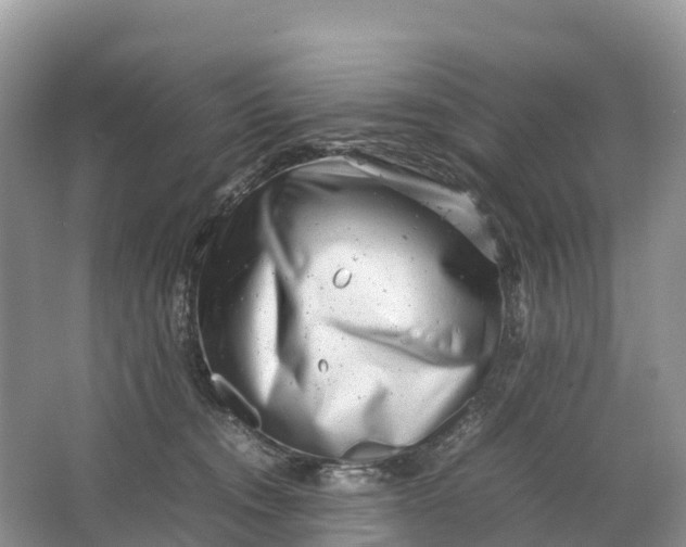 X0000064750372200602241845