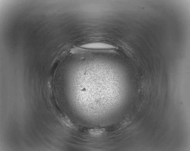 X0000064750373200602241845