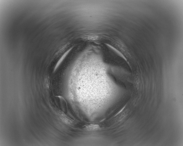 X0000064750374200602241845