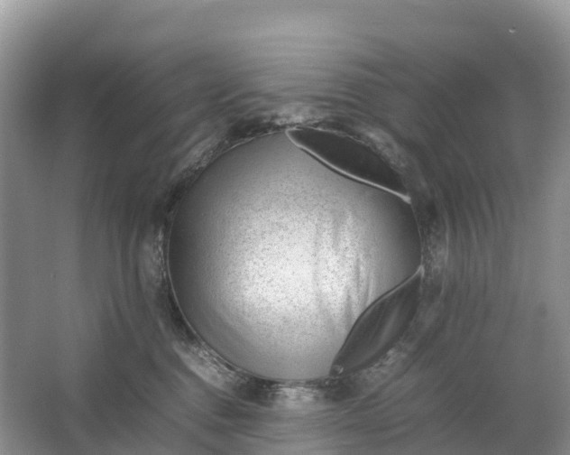 X0000064750376200602241845