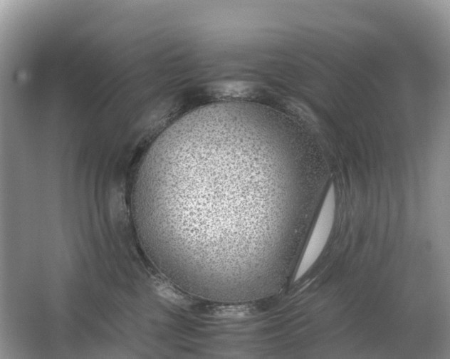 X0000064750377200602241845