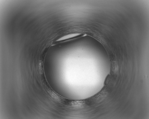 X0000064750378200602241845