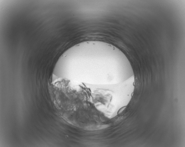 X0000064750381200602241845