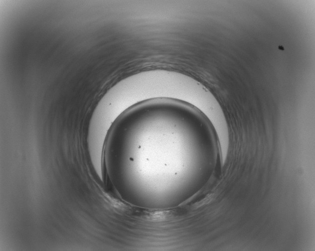 X0000064750382200602241845