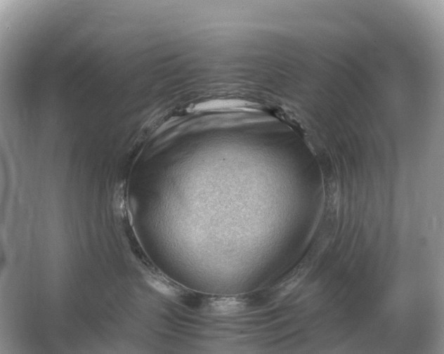 X0000064750383200602241845