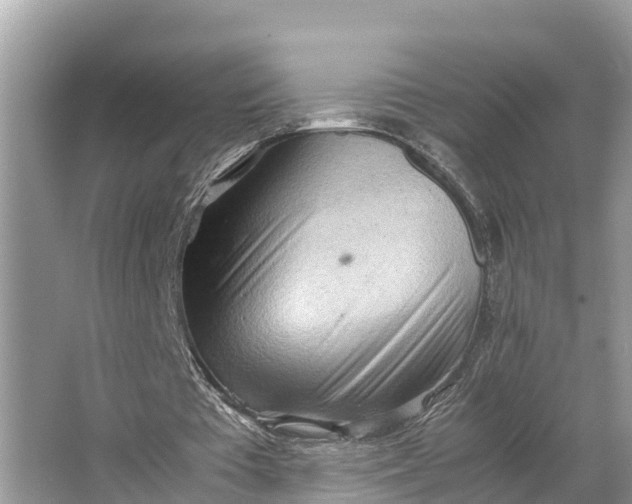 X0000064750385200602241844