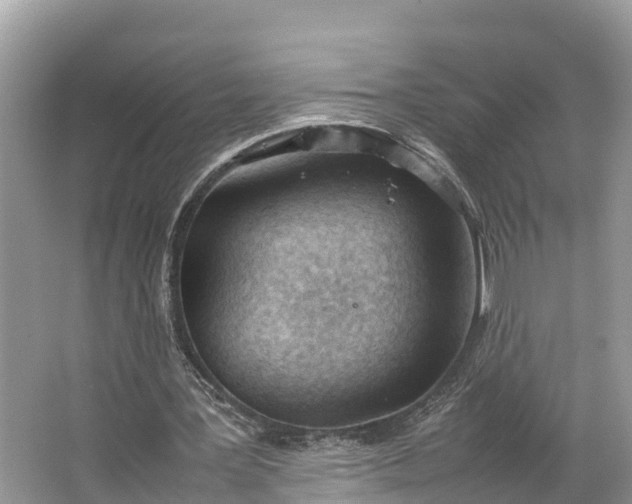 X0000064750387200602241844