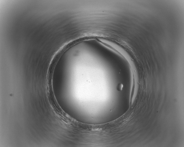 X0000064750388200602241844