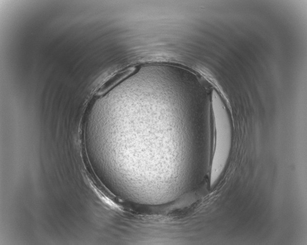 X0000064750389200602241844