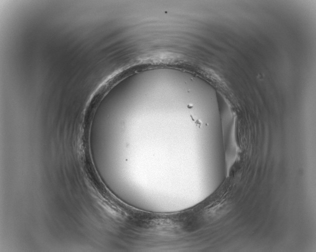 X0000064750392200602241844