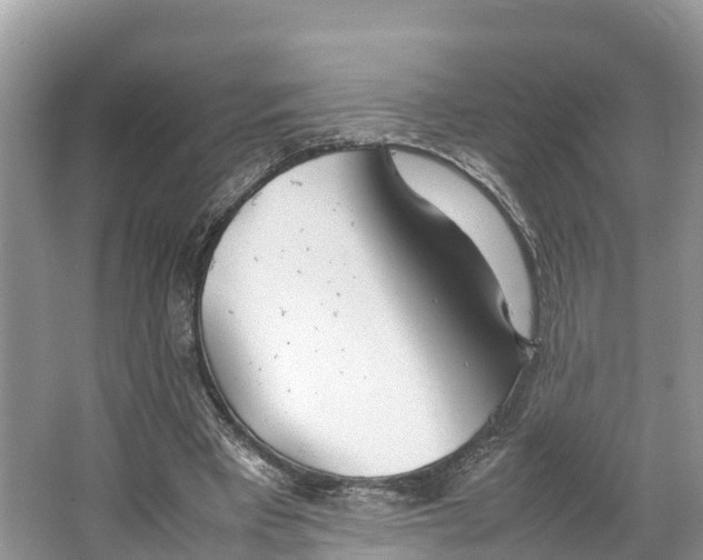 X0000064750393200602241844