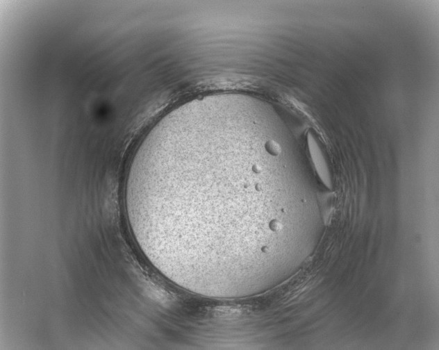 X0000064750394200602241844