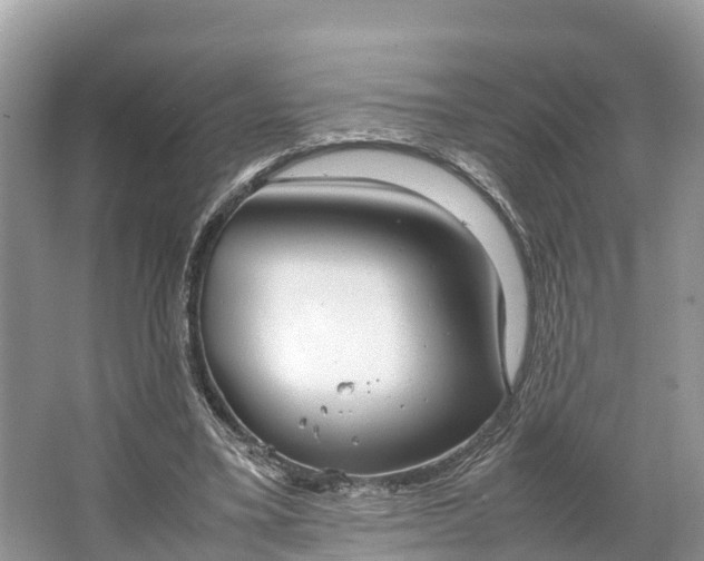 X0000064750395200602241844