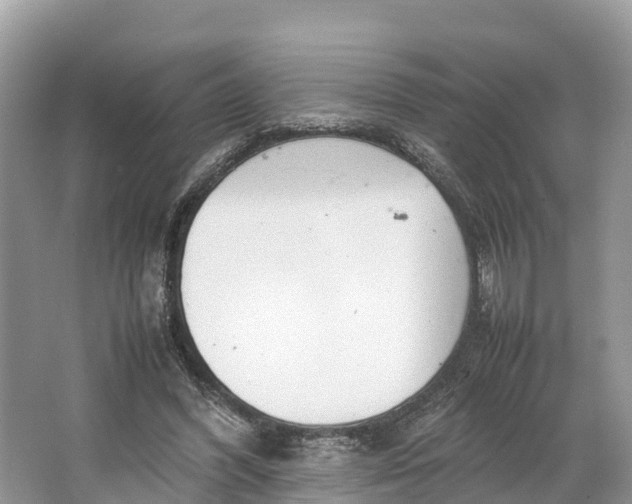 X0000064750396200602241844