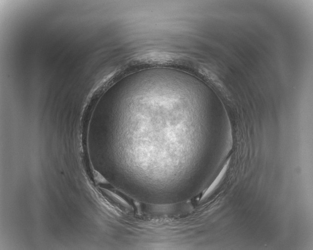 X0000064750399200602241844