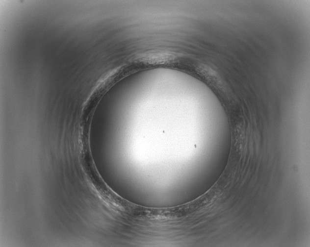 X0000064750400200602241844