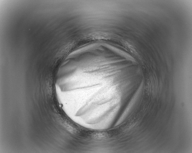 X0000064750402200602241844