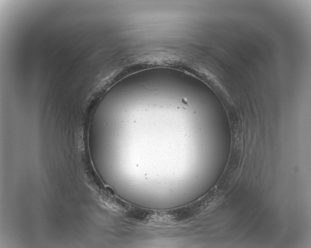 X0000064750403200602241844