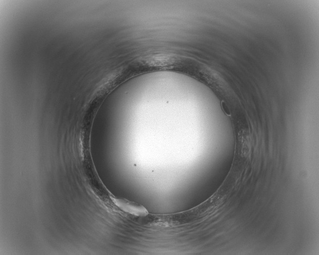 X0000064750404200602241844