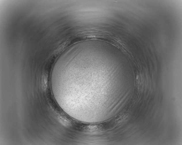 X0000064750406200602241844