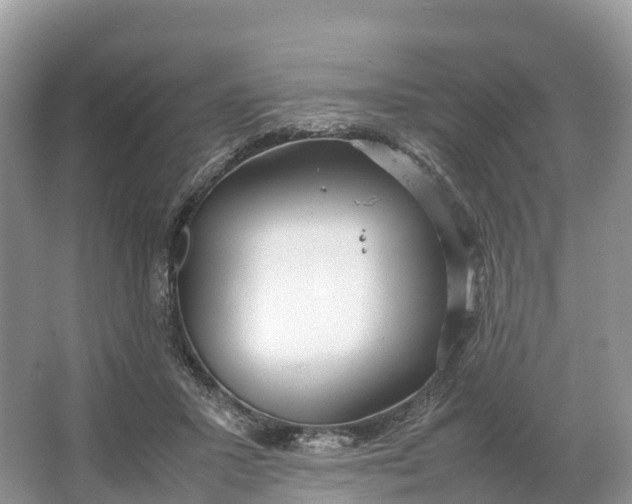 X0000064750407200602241844