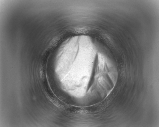 X0000064750408200602241844