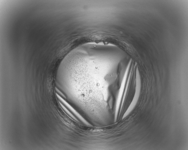 X0000064750409200602241844