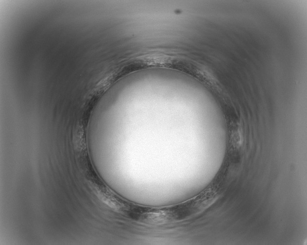 X0000064750411200602241844