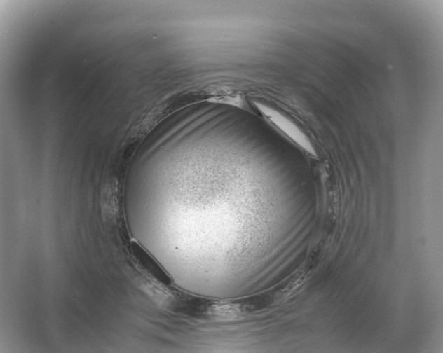 X0000064750413200602241844