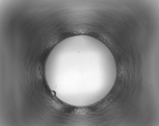 X0000064750414200602241844