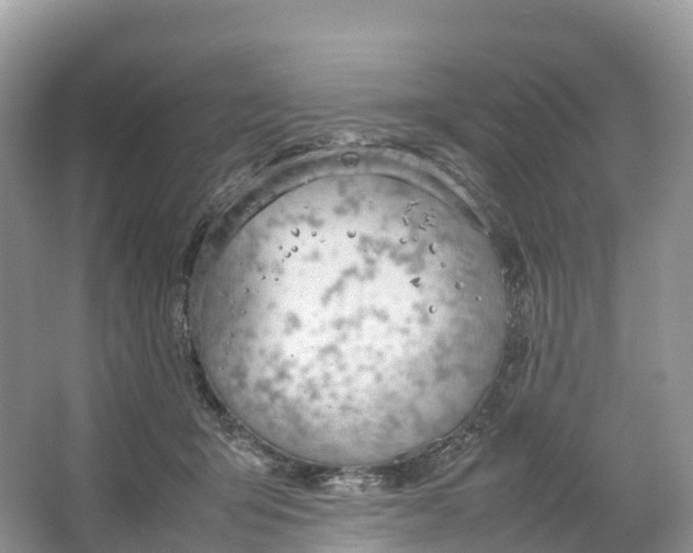 X0000064750415200602241843