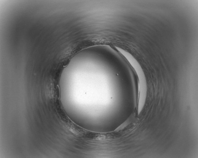 X0000064750416200602241843