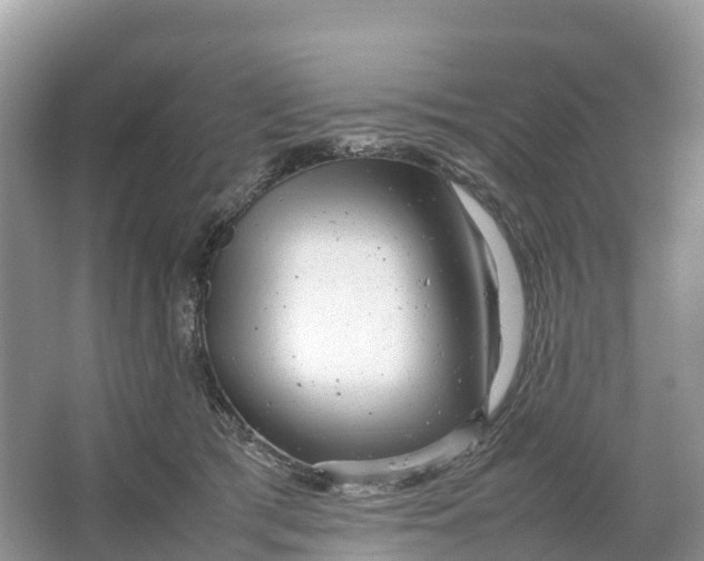 X0000064750417200602241843