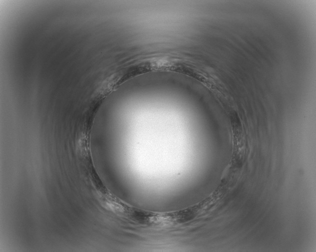 X0000064750419200602241843