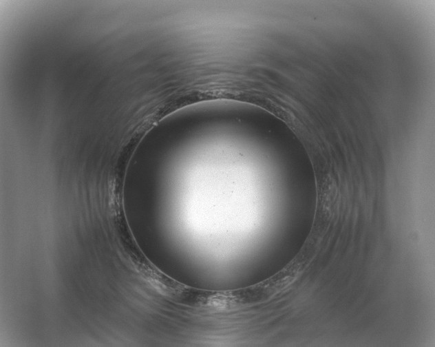 X0000064750420200602241843