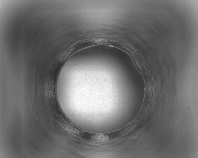 X0000064750421200602241843