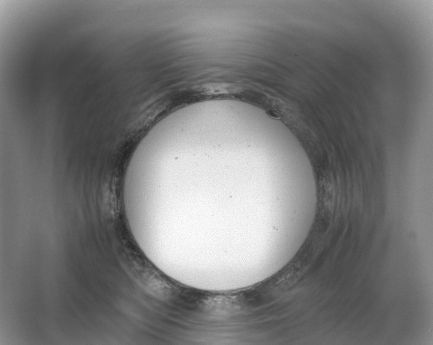 X0000064750422200602241843