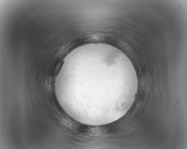 X0000064750423200602241843