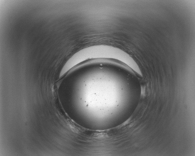 X0000064750424200602241843