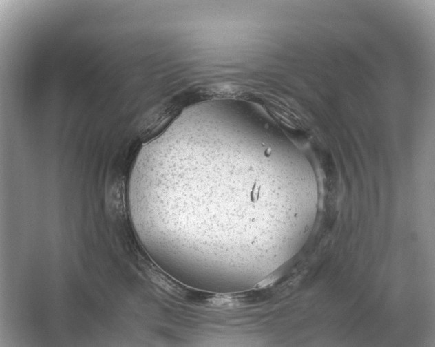 X0000064750425200602241843