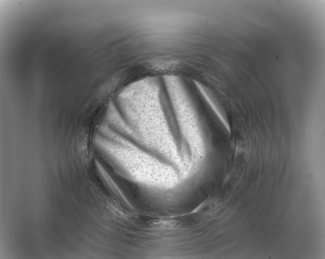 X0000064750428200602241843