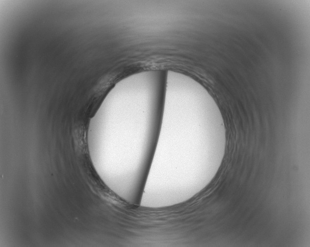 X0000064750429200602241843