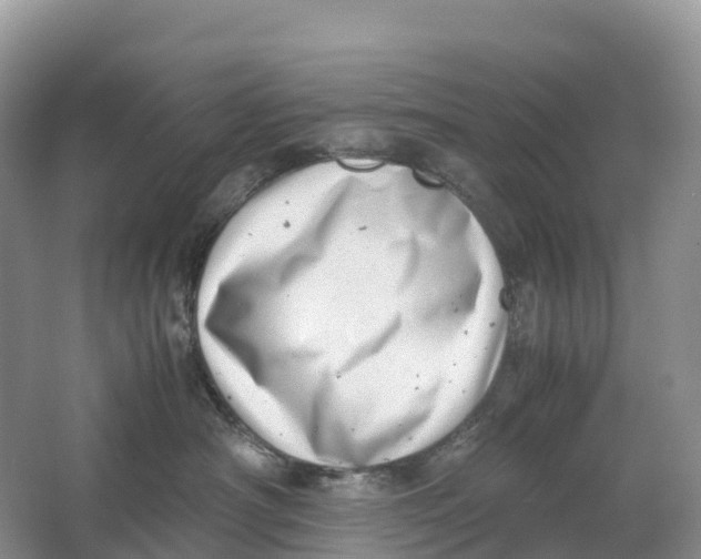 X0000064750430200602241843